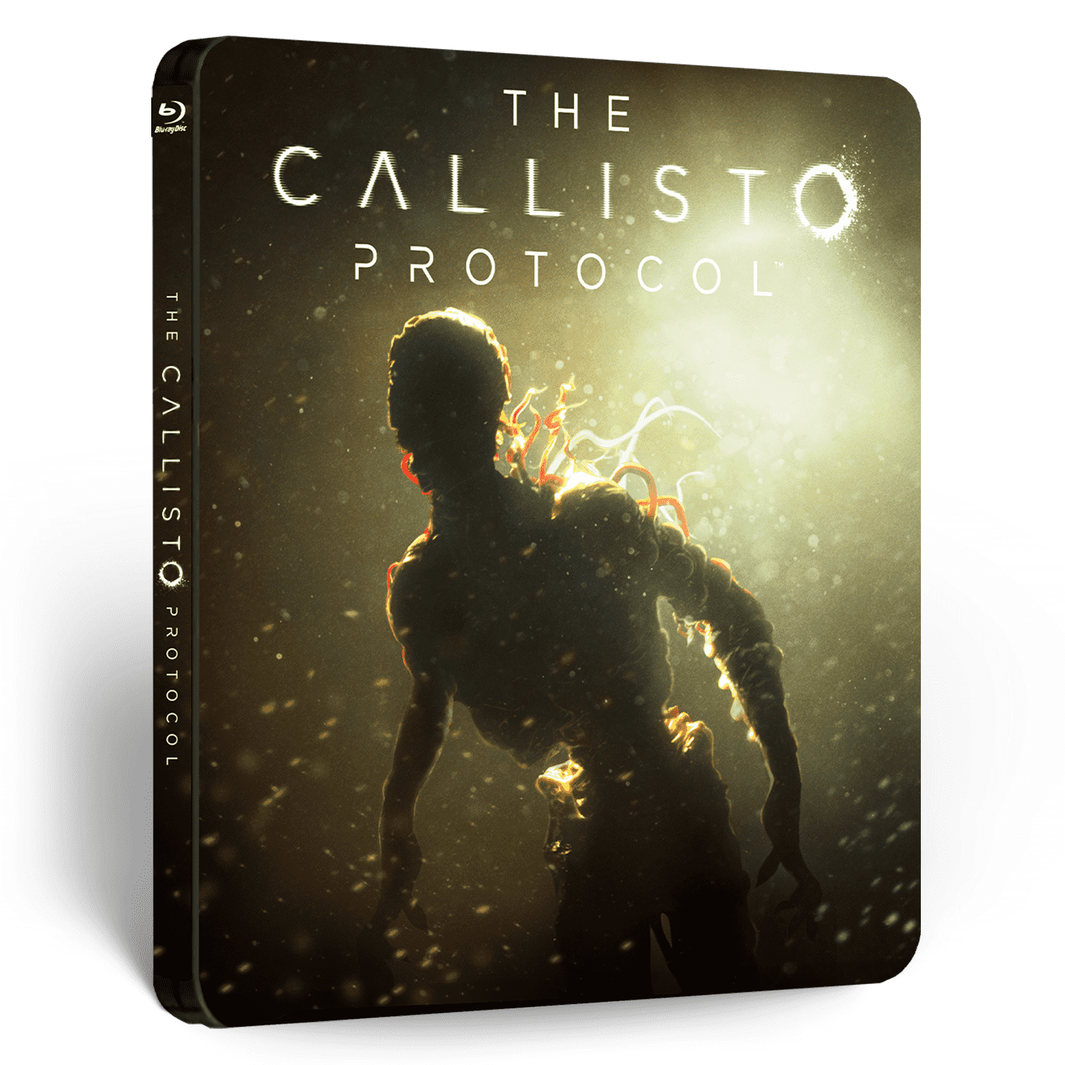 The Callisto Protocol Collectors Edition Entertainment Skybound –